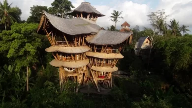 Hotel Sharma Springs Bamboo, con bambú y madera reciclada de palillos de restaurante / SHARMA SPRINGS