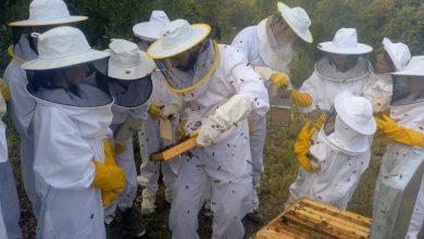 Una escapada emocionante para todas las edades / APIVILLORES
