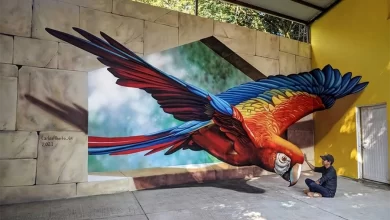 Un guacamayo entra en la calle por un gran ventanal / CARLOS ALBERTO GARCÍA