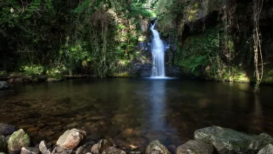 Una de las cascadas de Lamiña, en la Reserva del Saja-Nansa / TURISMO CANTABRIA