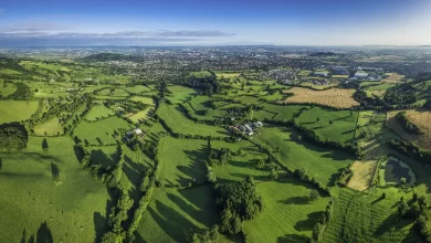 En Val de Loire, con sus lindes de seto, los "bocages" / i-STOCK