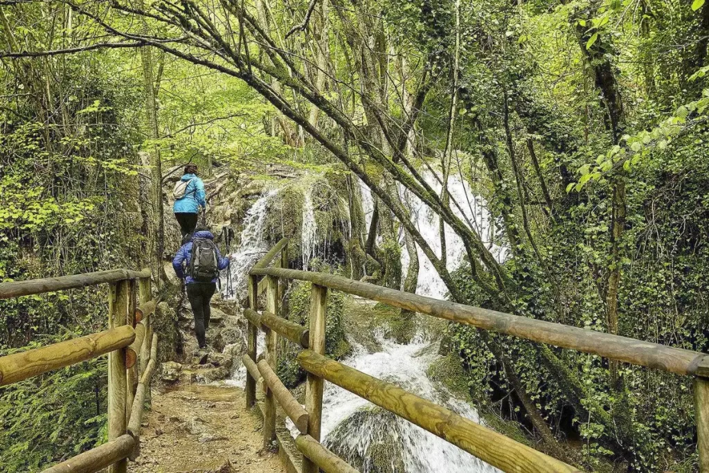 Dos puentes de madera nos ayudan a sortear el río durante el camino / TURISMO DE NAVARRA