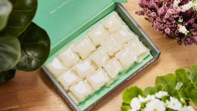 Washaby detergente ecológico y vegano libre de plásticos