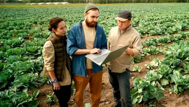 Agricultores usando herramientas digitales para recuperar la fertilidad del suelo y reducir el uso de productos químicos.