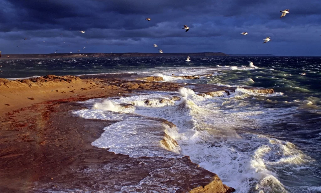 Tempestad de viento del Oeste en Punta Pardelas, crop./ Imagen: Daniel Rivademar Tempestad de viento del Oeste en Punta Pardelas, crop./ Imagen: Daniel Rivademar