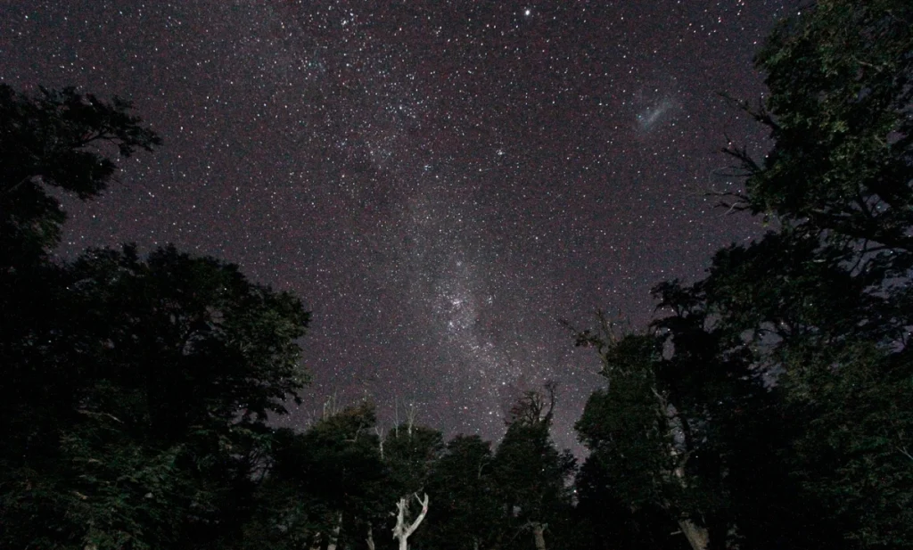 Cielo nocturno con bosque de Lengas en el Valle del Challhuaco, Provincia de Río Negro, Argentina Cielo nocturno con bosque de Lengas en el Valle del Challhuaco, Provincia de Río Negro, Argentina
